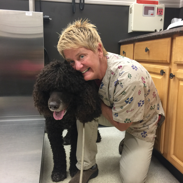 Greenwich Valley Veterinary Clinic | Full-Service Animal Hospital
